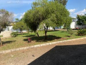 Zahrada ubytování Anna's home stay