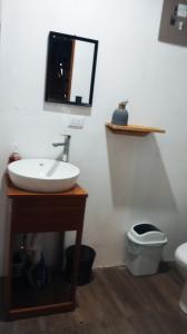 a bathroom with a sink and a toilet and a mirror at Cabaña el Chapuzón montaña y rio, lugar fresco in Cedral