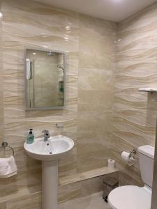 a bathroom with a sink and a toilet at Mariasplace in Cork