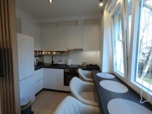 Kuchyň nebo kuchyňský kout v ubytování Aster Apartmani
