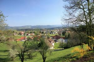Příroda nedaleko apartmánu