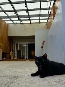 Majutusasutuse 西嚕小屋 külastajatega peatuv lemmikloom või lemmikloomad
