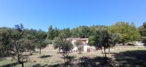 an old house in the middle of a field with trees at La Sousto Du Lac Sauvage in Esparron-de-Verdon
