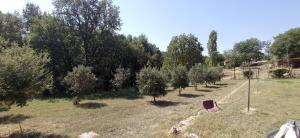 an aerial view of a garden with trees at La Sousto Du Lac Sauvage in Esparron-de-Verdon +6 photos