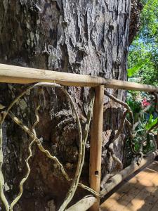 Fotografija v galeriji nastanitve Treehouse Tayrona v mestu Santa Marta
