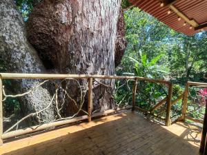 Balkon oz. terasa v nastanitvi Treehouse Tayrona