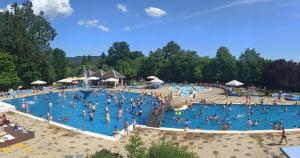 a group of people in a pool at a resort at Studio apartmani FLAVO LUX in Donji Čaglić