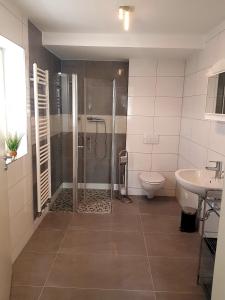a bathroom with a shower and a toilet and a sink at Apartment Bad Salzschlirf in Bad Salzschlirf