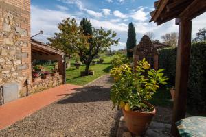a plant in a pot on the side of a house at Villa La Tinaia Il Sole Verde in Bucine