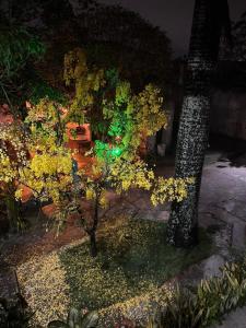 Zahrada ubytování Suíte 2 - Village Capixaba