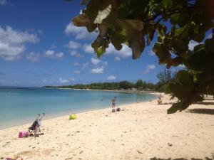 a group of people on a beach near the water at villa Caraibes proche plage in Sainte-Anne