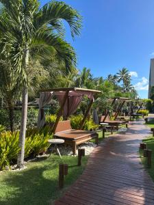 eine Reihe von Bänken in einem Park mit Palmen in der Unterkunft Amura Carneiros apartamento 3 quartos com piscina privativa in Praia dos Carneiros