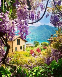 een bloementuin met een huis op de achtergrond bij Perfect Point Como in Lecco +22 foto's