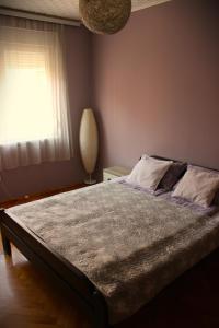 a bedroom with a large bed with a window at Apartman Ana in Šabac