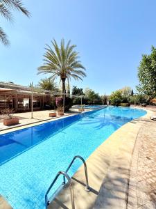 a large swimming pool with a palm tree in the background at VILLA 34 - 4 Masters, Moroccan Charm & Modern Comfort with Private Pool in Marrakesh