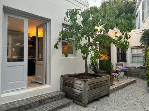 a tree in a wooden planter in front of a house at Constantia Calm, Constantia in Cape Town
