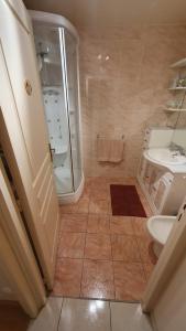 a bathroom with a shower and a toilet and a sink at La terrasse de Jeanne in Millau