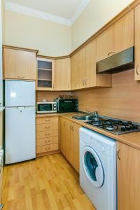 Kuchyň nebo kuchyňský kout v ubytování Apartment OTTO DOBO