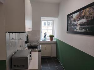 a kitchen with a green and white wall at SchaeBu! 6 Apartment Altmarkt im Grünen in Cottbus