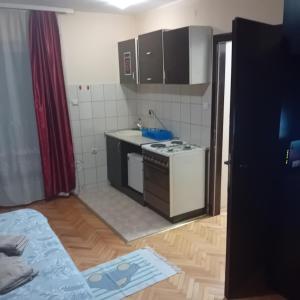 Kuchyň nebo kuchyňský kout v ubytování Apartment Viktor 2 stan na dan