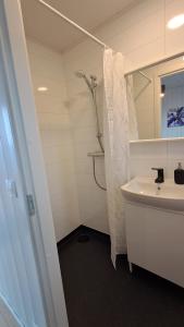 华姆斯唐吉Sauðá Guesthouse的带水槽和淋浴的白色浴室