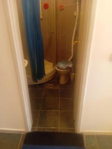 巴奇卡帕兰卡Sindi Apartman的一间带卫生间和淋浴的浴室