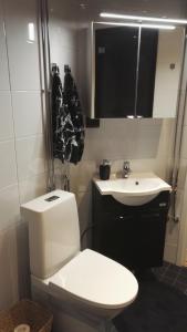 a bathroom with a white toilet and a sink at Nordic Home, with private sauna in Rovaniemi