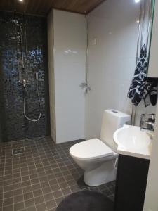 ロヴァニエミにあるNordic Home, with private saunaのトイレ、シャワー、洗面台を備えたバスルーム