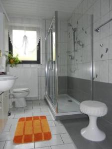 a bathroom with a shower and a toilet and a sink at Ferienwohnung Im Teutoburger Wald in Schieder-Schwalenberg +20 photos