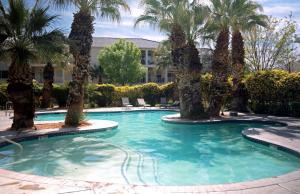 a swimming pool with palm trees in a resort at Cozy 3 Br Las Palmas Resort Hot Tub Pool & Parking in St. George