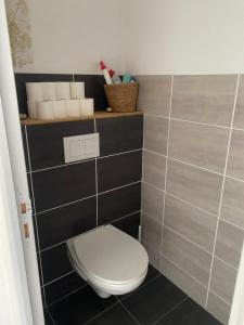 a bathroom with a toilet with black and gray tiles at Maison 4 personnes Sorède in Sorède +8 photos