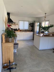 a kitchen with white cabinets and plants in it at Maison 4 personnes Sorède in Sorède