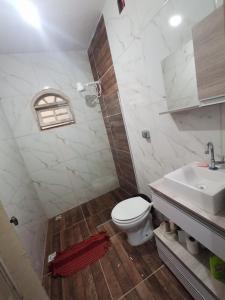 a bathroom with a toilet and a sink at Lugar de descanso e muito verde praia e lagoa Araruama in Araruama