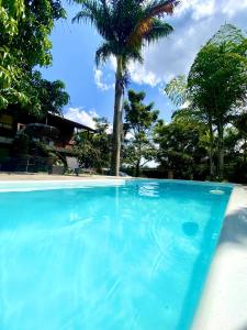 a blue swimming pool with a palm tree in the background at Suíte 5 - Village Capixaba in Gravatá