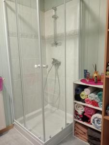 a shower with a glass door in a bathroom at chambre d'hôtes au cœur de la nature in Saint-Roch