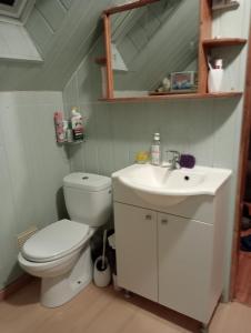 a bathroom with a toilet and a sink at chambre d'hôtes au cœur de la nature in Saint-Roch