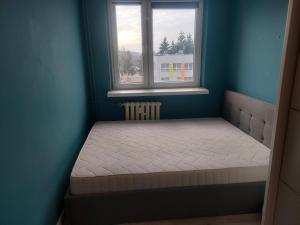 a small bed in a room with a window at Piąteczka in Pniewy