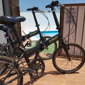 Jízda na kole v ubytování Zambeachouse - Hostel Paradise nebo okolí