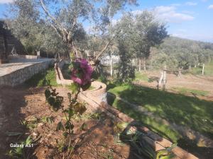 een plant met paarse bloemen in een tuin bij Ali dede kamp karavan bungalow in Kuşadası