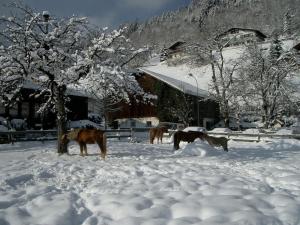 Το Hotel Gasthaus Schäfle τον χειμώνα