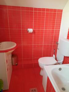 ein rot gefliestes Bad mit einem WC und einem Waschbecken in der Unterkunft Casa Flavia in Sancraiu de Mures