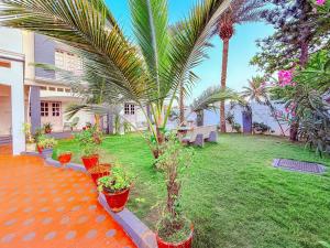 a yard with palm trees and plants inront of a house at Akkarai Beach Luxury Beach Villa in Chennai +13 photos