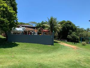 un grupo de caballos parados sobre una valla en Rancho Duas Luas Apoio Camping, en Rio das Ostras