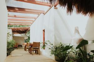 Fotografie z fotogalerie ubytování Ha'as Naj Suites Bananas v destinaci Playa del Carmen