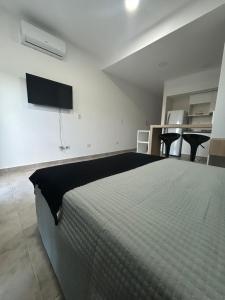 a bedroom with a bed and a tv on the wall at Punto REC in Salta