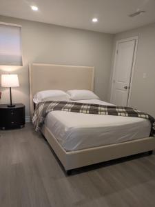 ブランプトンにあるKings Palace Basementのギャラリーの写真 +11枚の写真