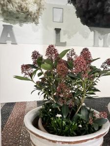 Zahrada ubytování Palazzo ALM + 19 fotografií