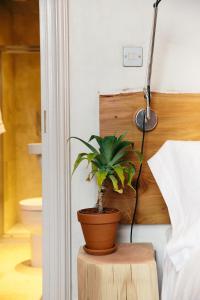 a potted plant sitting on a table next to a bed at The Culpeper Bedrooms in London