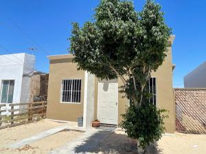 un árbol frente a una casa con una puerta blanca en Amazing house Great price, en Puerto Peñasco