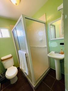 Un baño con ducha, inodoro y lavabo. en Amazing house Great price, en Puerto Peñasco